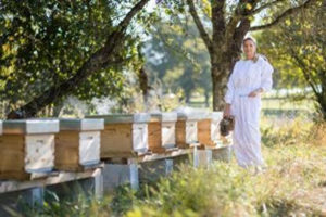 Pour la sauvegarde des abeilles: l'agence immobilière Désormière et Vanhalst parraine la Fondation l'Arche des Abeilles et les Miels de Stéphanie
