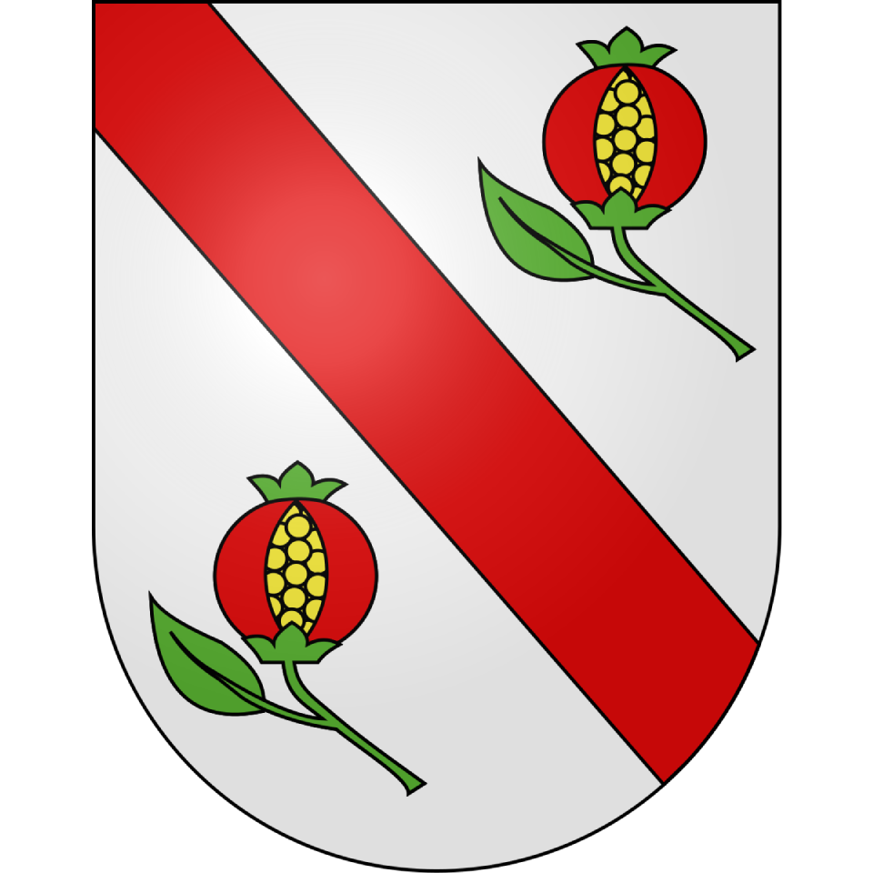 Image en vedette de Taxonomie