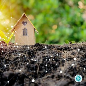 Logements à construire et à calibrer : d’abord trouver le terrain idéal pour y développer un projet immobilier Trouver le terrain idéal pour y développer un projet immobilier avec l’agence immobilière Désormière & Vanhalst