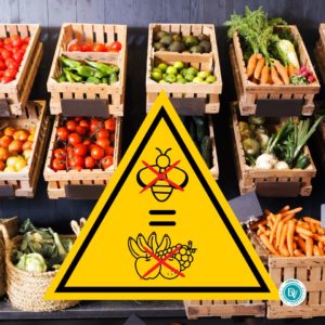 Pour la sauvegarde des abeilles: leur activité de pollinisation est essentielle pour assurer la la production de fruits et légumes. L'agence immobilière Désormière et Vanhalst parraine une ruche à Troinex